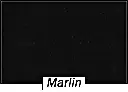 MARLIN.webp