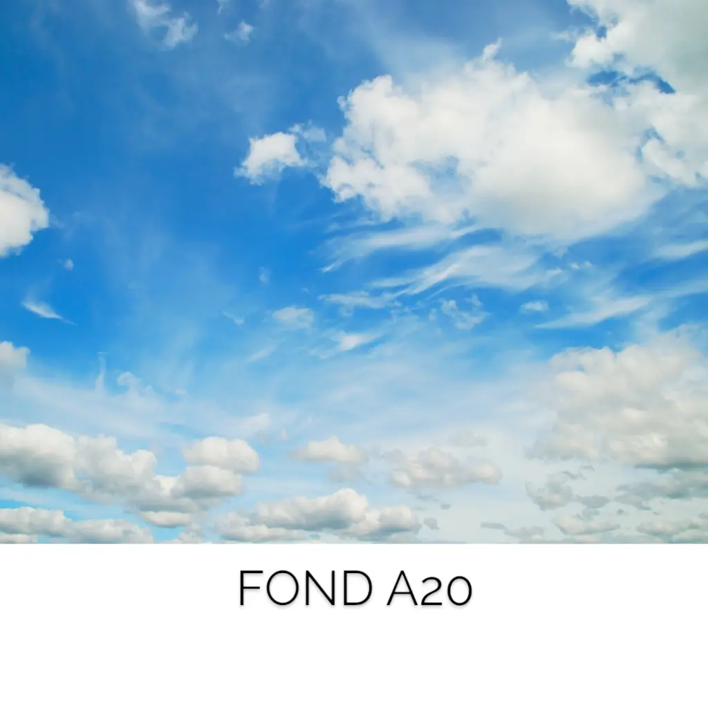 Fond A20.webp
