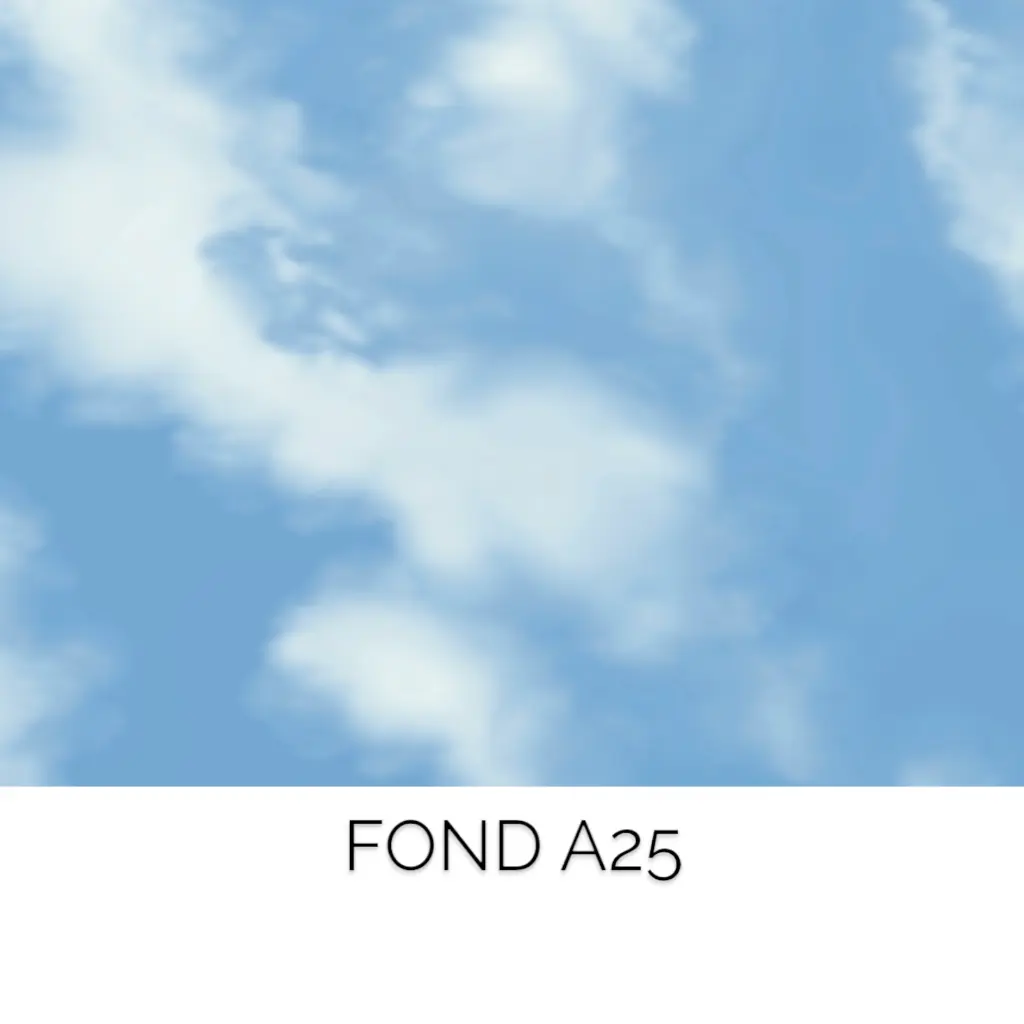 Fond A25.webp