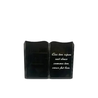 Plaques livres découpés 20/30cm 