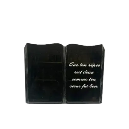 Plaques livres découpés 25/35cm