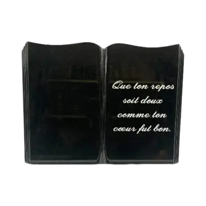 Plaques livres découpés 30/40cm