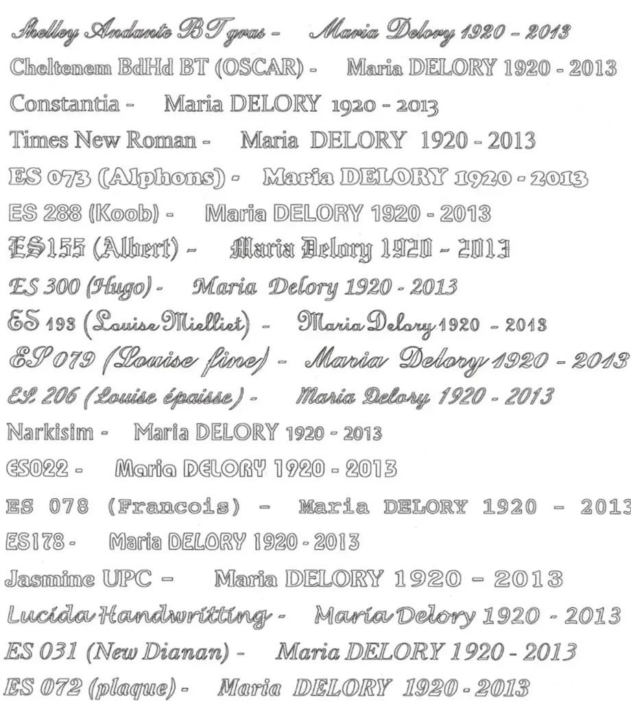 Typologie