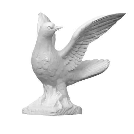 Colombe 453/25