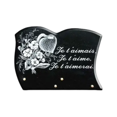 Plaques G1 21/31cm